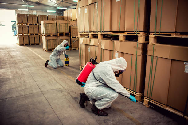 Best Affordable Pest Control Services  in Jenison, MI