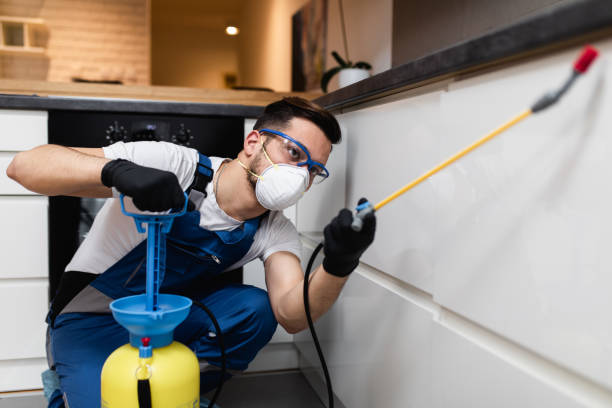 Best Pest Removal Services  in Jenison, MI