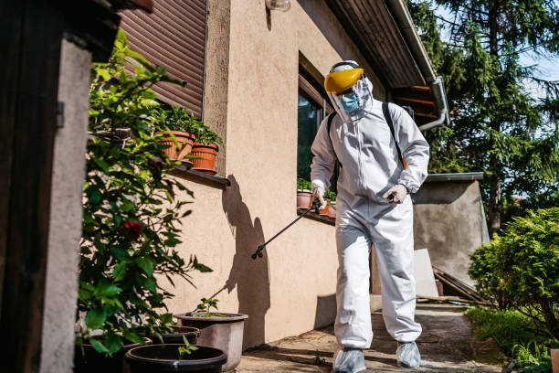 Best Termite Control Services  in Jenison, MI