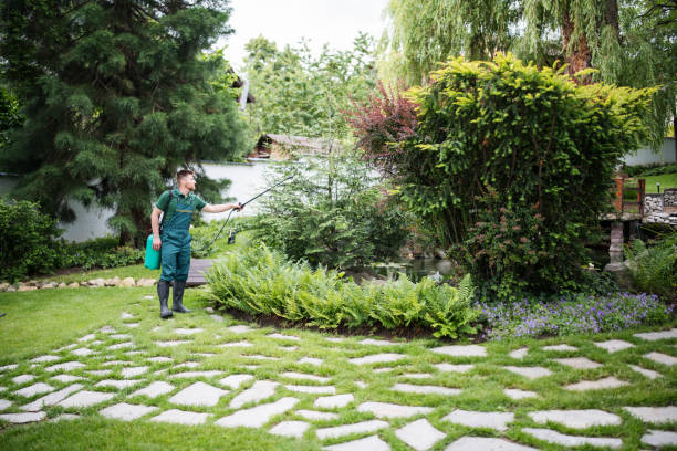 Best Local Pest Control Services  in Jenison, MI