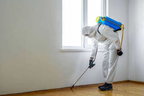 Pest Prevention Services in Jenison, MI