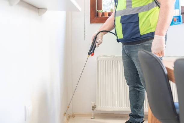 Best Ant Control Services  in Jenison, MI