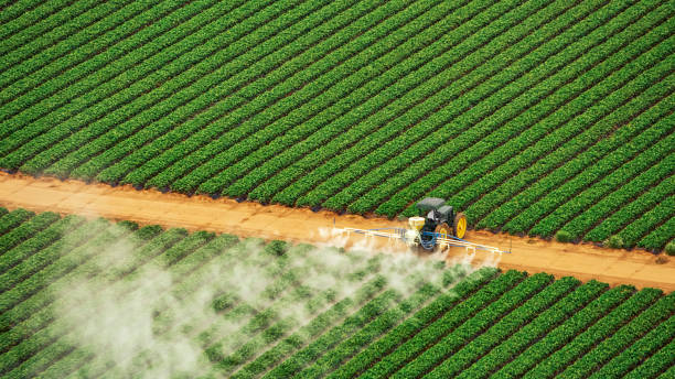 Best Mosquito Control Services  in Jenison, MI