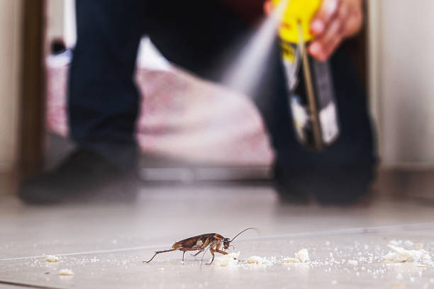 Best Cockroach Control Services  in Jenison, MI