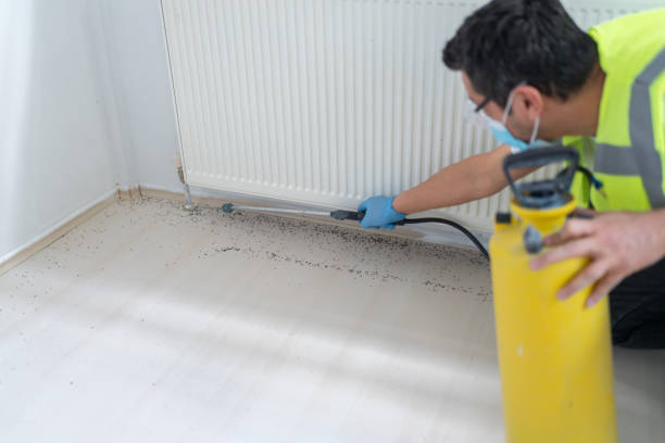 Reliable Jenison, MI Pest Control Solutions