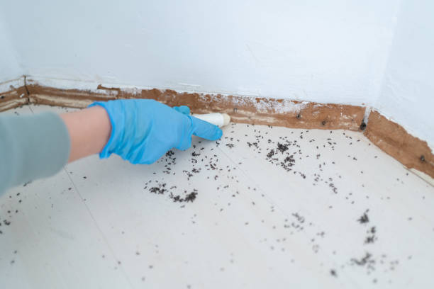 Best Pest Control for Businesses  in Jenison, MI