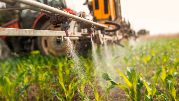 Best Best Pest Control Companies  in Jenison, MI