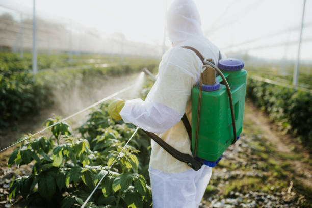 Best Pest Inspection Near Me  in Jenison, MI